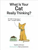 Čo si vaša mačka naozaj myslí? - What Is Your Cat Really Thinking?