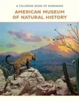 Omaľovánka diorám - A Coloring Book of Dioramas