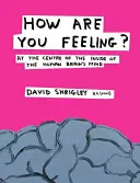 Ako sa cítiš? - V centre vnútra ľudského mozgu - How Are You Feeling? - At the Centre of the Inside of The Human Brain's Mind
