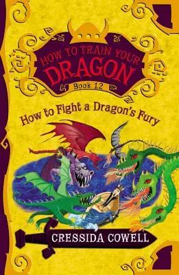 Ako si vycvičiť draka: Ako bojovať s dračou zúrivosťou - How to Train Your Dragon: How to Fight a Dragon's Fury