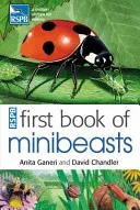 Prvá kniha o drobných živočíchoch RSPB - RSPB First Book Of Minibeasts