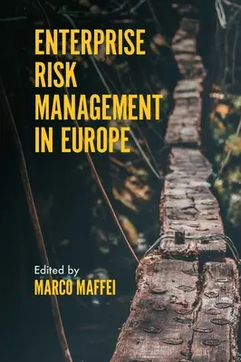 Riadenie podnikových rizík v Európe - Enterprise Risk Management in Europe