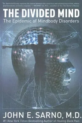 Rozdelená myseľ: Epidémia porúch mysle a tela - The Divided Mind: The Epidemic of Mindbody Disorders