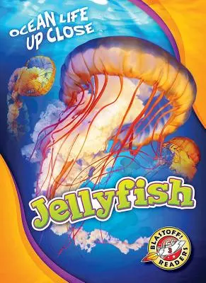 Medúzy - Jellyfish