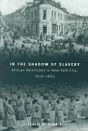 V tieni otroctva: Afroameričania v New Yorku v rokoch 1626 - 1863 - In the Shadow of Slavery: African Americans in New York City, 1626-1863