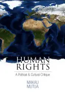 Ľudské práva: Politická a kultúrna kritika - Human Rights: A Political and Cultural Critique