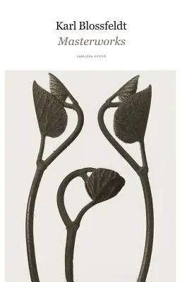 Karl Blossfeldt: Majstrovské diela - Karl Blossfeldt: Masterworks