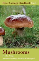 Huby - Mushrooms