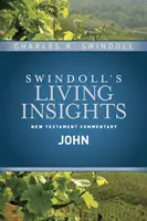 Poznatky o Jánovi - Insights on John