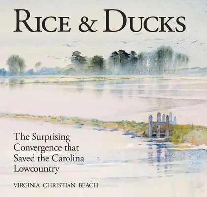 Ryža a kačice: Prekvapujúca konvergencia, ktorá zachránila karolínsku nížinu (The Surprising Convergence That Saved the Carolina Lowcountry) - Rice & Ducks: The Surprising Convergence That Saved the Carolina Lowcountry