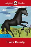 Čierna kráska: Úroveň 6 - Black Beauty: Level 6