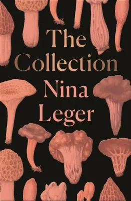 Zbierka - The Collection