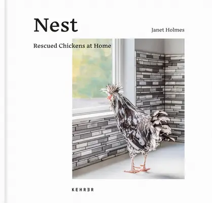 Hniezdo: Zachránené kurčatá doma - Nest: Rescued Chickens at Home