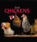 Pohodové kurčatá - Cool Chickens