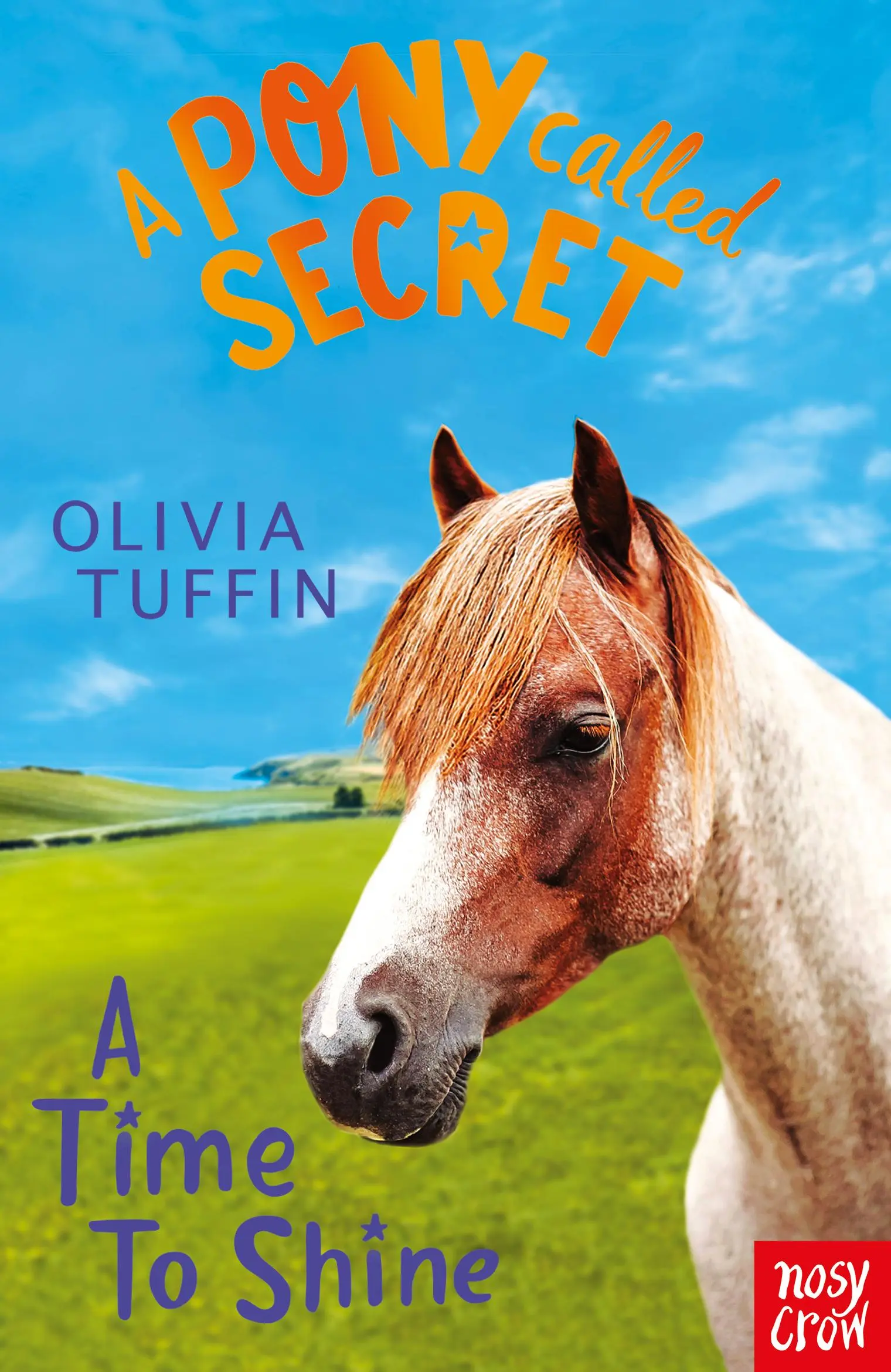 Pony Called Secret: A Time To Shine