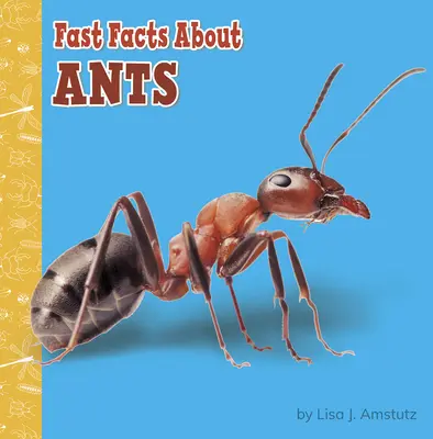 Rýchle fakty o mravencoch - Fast Facts about Ants