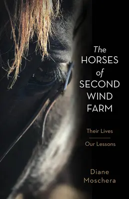 Kone z farmy Second Wind: Ich životy - naše lekcie - The Horses of Second Wind Farm: Their Lives - Our Lessons