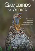 Vtáky hájové Afriky - Guineafowls, Francolins, Spurfowls, Quails, Sandgrouse & Snipes - Gamebirds of Africa - Guineafowls, Francolins, Spurfowls, Quails, Sandgrouse & Snipes