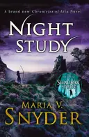 Nočná štúdia - Night Study