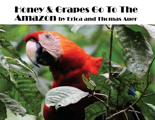 Med a hrozno idú do Amazonky - Honey & Grapes Go To The Amazon
