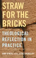 Slama na tehly: Teologická reflexia v praxi - Straw for the Bricks: Theological Reflection in Practice