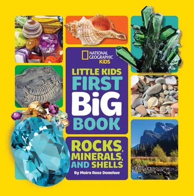Little Kids Prvá veľká kniha o kameňoch, mineráloch a mušliach - Little Kids First Big Book of Rocks, Minerals & Shells
