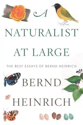 Prírodovedec na slobode: Najlepšie eseje Bernda Heinricha - A Naturalist at Large: The Best Essays of Bernd Heinrich