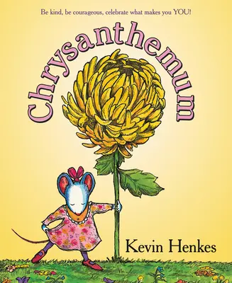 Chryzantéma - Chrysanthemum