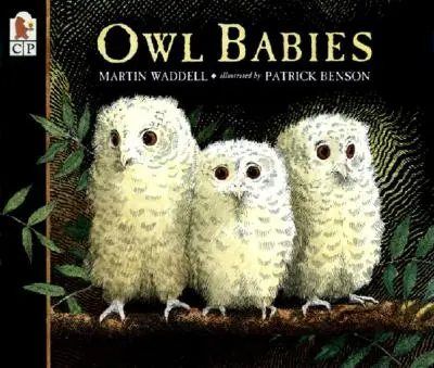 Sovie mláďatá - Owl Babies