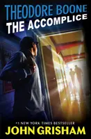 Theodore Boone: Spoluvinník - Theodore Boone: The Accomplice