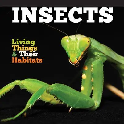 Hmyz - Insects
