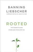Zakorenené: Skryté miesta, kde ťa Boh rozvíja - Rooted: The Hidden Places Where God Develops You