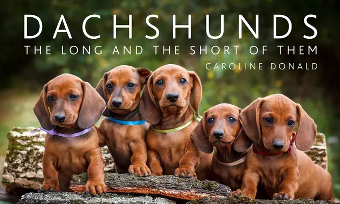Jazvečíky: Dlhé a krátke príbehy - Dachshunds: The Long and the Short of Them