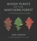 Dreviny severného lesa: Fotografický sprievodca - Woody Plants of the Northern Forest: A Photographic Guide