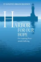 Prístav pre našu nádej: o získavaní pokoja uprostred utrpenia - Harbor for Our Hope: On Acquiring Peace Amidst Suffering