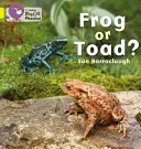 Žaba alebo ropucha? - Frog or Toad?