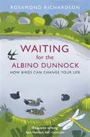 Čakanie na albinotického piskora: Ako môžu vtáky zmeniť váš život - Waiting for the Albino Dunnock: How Birds Can Change Your Life