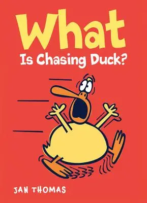 Čo je to naháňať kačicu? - What Is Chasing Duck?