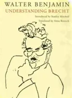 Pochopenie Brechta - Understanding Brecht