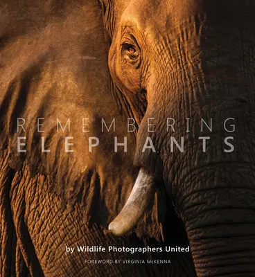 Spomínanie na slony - Remembering Elephants