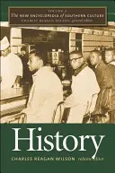 Nová encyklopédia južanskej kultúry: 3. diel: História - The New Encyclopedia of Southern Culture: Volume 3: History