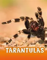 Tarantuly - Tarantulas