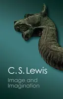Obraz a predstavivosť: Eseje a recenzie - Image and Imagination: Essays and Reviews