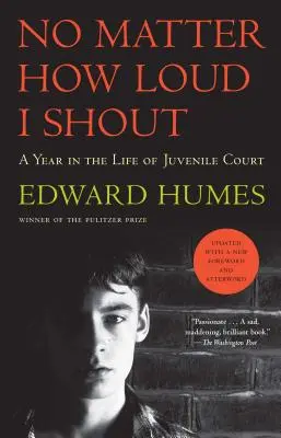Bez ohľadu na to, ako hlasno kričím: A Year in the Life of Juvenile Court (Rok v živote súdu pre mladistvých) - No Matter How Loud I Shout: A Year in the Life of Juvenile Court