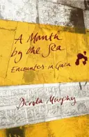 Mesiac pri mori: Stretnutia v Gaze - A Month by the Sea: Encounters in Gaza