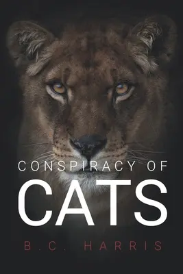 Sprisahanie mačiek - Conspiracy of Cats