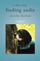hľadanie andie - finding andie