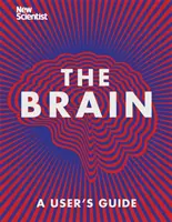 Mozog - všetko, čo potrebujete vedieť - Brain - Everything You Need to Know