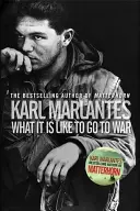 Aké je to ísť do vojny (Marlantes Karl (Autor)) - What It Is Like To Go To War (Marlantes Karl (Author))