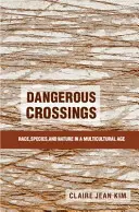 Nebezpečné prechody - Dangerous Crossings